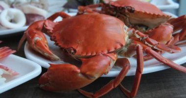 Lezzetli kıllı bir yengeci ya da Çin eldiveni yengecini yakın tut. Yüksek kalite fotoğraf