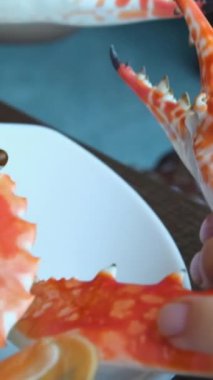 Buharda pişmiş yengeç. Beyaz arka planda baharatlı sosla servis edilen haşlanmış yengeç. Tayland yemeği tarzı, Top View. Kaynatılmış kırmızı yengeç, avokado, defne, şarap bardakları.