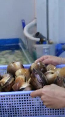 Deniz ürünleri dükkanındaki adam plastik kabukları yüzme havuzundan kabuklu deniz ürünleri restoranına götürüyor. Ho Chi Minh Şehri Vietnam 06.02.2024 