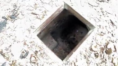 Vietnam Savaşı sırasında Cu Chi tünellerindeki gerilla kampının görüldüğü yer artık turistik bir yer. Seyahat konsepti. Cu Chi, Viet Nam Cu Chi 