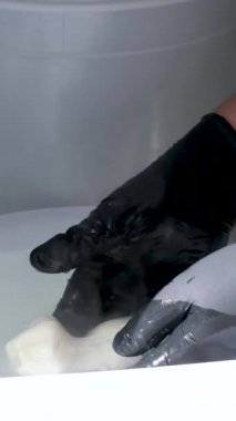 Süt ürünleri üretim hattı. Sanayi bölgesinde çalışan kadın fabrika işçileri peynirleri plastik poşete dolduruyorlar. Peynir fabrikası Mozzarella peyniri yapıyor.