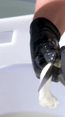 Süt ürünleri üretim hattı. Sanayi bölgesinde çalışan kadın fabrika işçileri peynirleri plastik poşete dolduruyorlar. Peynir fabrikası Mozzarella peyniri yapıyor.