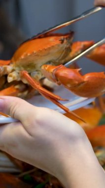 Taze pişmiş dev jumbo çamur yengecini beyaz tabakta baharat sosuyla kaplayın, Tayland deniz ürünleri. Yüksek kaliteli FullHD görüntüler