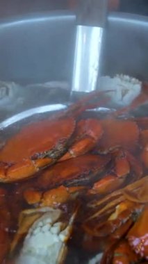 Taze pişmiş dev jumbo çamur yengecini beyaz tabakta baharat sosuyla kaplayın, Tayland deniz ürünleri. Yüksek kaliteli FullHD görüntüler