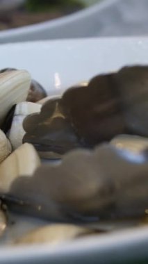 Benekli Babylonia areolata, kaymak kabuğundan kahverengi renklere kadar ayırt edici bir deniz salyangozu türüdür. Kabuk pürüzsüz, parlak, spiral sırtlı. Deniz ürünleri geçmişi. Yiyecek yumuşakçaları.