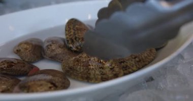 Benekli Babylonia areolata, kaymak kabuğundan kahverengi renklere kadar ayırt edici bir deniz salyangozu türüdür. Kabuk pürüzsüz, parlak, spiral sırtlı. Deniz ürünleri geçmişi. Yiyecek yumuşakçaları.