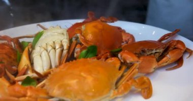 Taze pişmiş dev jumbo çamur yengecini beyaz tabakta baharat sosuyla kaplayın, Tayland deniz ürünleri. Yüksek kaliteli FullHD görüntüler