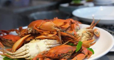 Taze pişmiş dev jumbo çamur yengecini beyaz tabakta baharat sosuyla kaplayın, Tayland deniz ürünleri. Yüksek kaliteli FullHD görüntüler