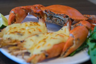 Beyaz tabakta peynirli ve kremalı yengeç ıstakozu. Lezzetli yemek. Yüksek kalite 