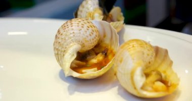 Gastropodlar ve salyangozlar taze çiğ Rapana bezoar Linnaeus. Deniz salyangozu deniz ürünleri. Yüksek kalite