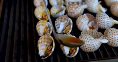 Gastropodlar ve salyangozlar taze çiğ Rapana bezoar Linnaeus. Deniz salyangozu deniz ürünleri. Yüksek kalite