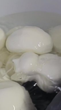 Tabakta İtalyan sert peynirli caciocavallo tutan Caciocavallo kadın elleri. Caciocavallo, Güney İtalya 'nın tipik makarna filata peyniri. Puglia malı.