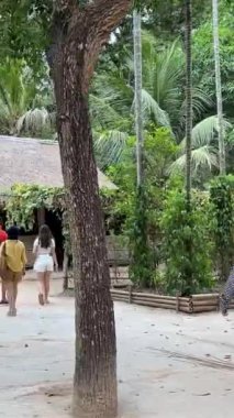 Vietnam Savaşı sırasında Cu Chi tünellerindeki gerilla kampının görüldüğü yer artık turistik bir yer. Seyahat konsepti. Cu Chi, Viet Nam Cu Chi 06.06.2024