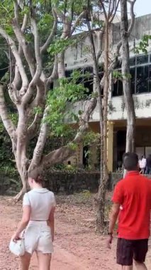 Vietnam Savaşı sırasında Cu Chi tünellerindeki gerilla kampının görüldüğü yer artık turistik bir yer. Seyahat konsepti. Cu Chi, Viet Nam Cu Chi 06.06.2024