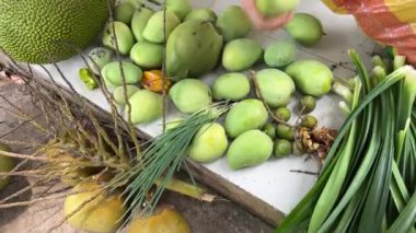 Tropikal meyve hasadı mango hindistan cevizi kabuklu deniz mahsulleri dişilerin elleri sağlıklı meyve topluyor. Yüksek kalite 4k görüntü