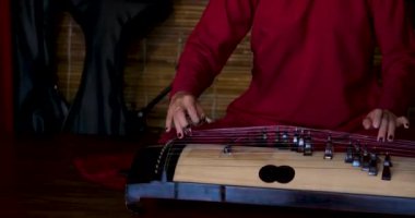 Guzheng çalan bir adamın eli. Guzheng ya da gu zheng, kısaca Zheng, bir Çin enstrümanıdır. Telli bir Çin müzik aleti. Yüksek kalite 4k görüntü