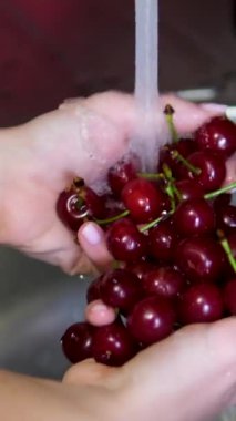 Musluğun altında sabah akan suyun altında vişneli domatesleri yıkayan kadınların yakın görüntüsü. Evde lezzetli sebze salatası yapmak için sebze hazırlıyorum. Akan suyun altında kirazları yıka
