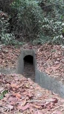 Vietnam Savaşı sırasında Cu Chi tünellerindeki gerilla kampının görüldüğü yer artık turistik bir yer. Seyahat konsepti. Cu Chi, Viet Nam Cu Chi 