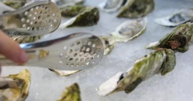 Taze istiridye tabakta dönüyor. Yaklaş, Ağır Çekim. İstiridye topla