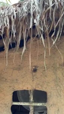 Vietnam Savaşı sırasında Cu Chi tünellerindeki gerilla kampının görüldüğü yer artık turistik bir yer. Seyahat konsepti. Cu Chi, Viet Nam Cu Chi 