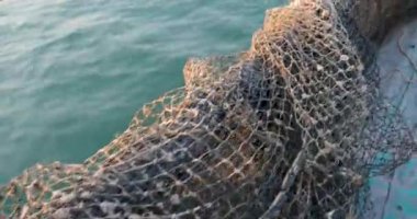 Balık çiftliği ahşap köprüsü okyanus Vietnam evi suyun üzerinde. Balık çiftliğinin güzel doğal manzarası. Turistik yerler 