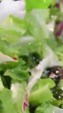Kadın salata yapraklarını santrifüj makinesinde yıkıyor. Evde mutfakta sağlıklı bir öğle yemeği hazırlığı. Keto konsepti. Yüksek kalite 4k görüntü