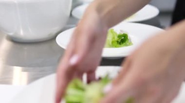 Tavuklu salata, domates, zeytin, marul, bıldırcın yumurtası ve zeytinyağı. Kirazlı domates ve bıldırcın yumurtası salatasını adım adım yapmayı. Sahne arkasındaki restoran açık büfe ana yemek pişirme.