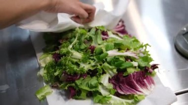 Marulları kağıt havluyla süpür. Kağıt havluda yıkanmış marul yaprakları kurutmak. Yüksek kalite 4k görüntü