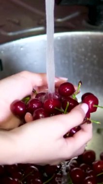 Organik Bahçe 'de hasat. Kadın Elleri Kirazları Suyla Yıkar. Taze kiraz çileği hasadı. Çiftçi Taze Organik Renkli Kiraz Böğürtlenlerini Suyla Yıkama, Kapalı Çilek.