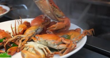 Üst kabuğu olmayan buharda pişmiş bir yengeci tutan eller. Ağır çekim. Kapatın. Yüksek kaliteli FullHD görüntüler