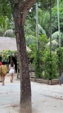 Vietnam Savaşı sırasında Cu Chi tünellerindeki gerilla kampının görüldüğü yer artık turistik bir yer. Seyahat konsepti. Cu Chi, Viet Nam Cu Chi 06.06.2024