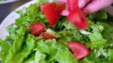 Şef salata yapraklarıyla kaseye doğranmış domates ekliyor taze salata hazırlıyor. marul yapraklarına domates ekle.