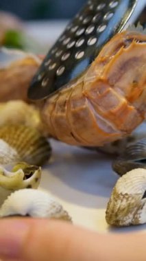 Açık büfe kabuk yumuşakçaları ve peygamber devesi kanseri peygamber devesi karidesleri için dua eden duaları alır. Yüksek kaliteli FullHD görüntüler