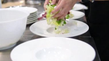 Elleri marul yaprakları hazırlar. Restoranda dört tabak sebze salatası hazırlar. Açık büfe kadınlarının ellerine saat ve bilezik manikürlü servis edilir. Yüksek kalite 4k görüntü