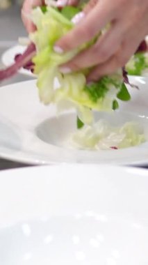 Elleri marul yaprakları hazırlar. Restoranda dört tabak sebze salatası hazırlar. Açık büfe kadınlarının ellerine saat ve bilezik manikürlü servis edilir. Yüksek kalite 4k görüntü