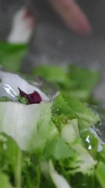 Salata, sebze, marul yıkayan insanlar. Yeşil salata yapıyorum. Yüksek kalite 4k görüntü