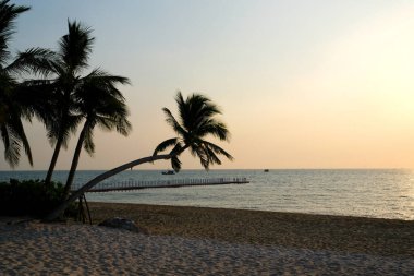 Balık çiftliği ahşap köprüsü okyanus Vietnam evi suyun üzerinde. Balık çiftliğinin güzel doğal manzarası. Turistik yerler 