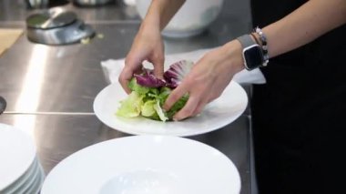Tabağa taze otlar koymak, yeşilliklerle bir set oluşturmak marul, ıspanak, fesleğen ve roka yaprakları. Taze vejetaryen salatası servisi. Salata için marul yapraklarını tabağa koy.