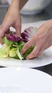 Tabağa taze otlar koymak, yeşilliklerle bir set oluşturmak marul, ıspanak, fesleğen ve roka yaprakları. Taze vejetaryen salatası servisi. Salata için marul yapraklarını tabağa koy.