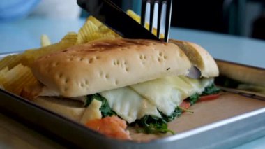 Çekilmiş domuz etli burger. Taze Meksika mutfağı, peynir festivali, lezzetli bir sandviç. Peynirli sandviç ve tavuklu domatesli ıspanaklı cips. 