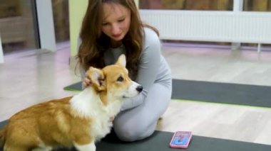 Batı Highland White Terrier 'ın lastik minderde dinlenirken çekici, formda bayan yoga yaparken geniş açılı görüntüsü. Sakin evcil hayvan sever, Padmasana 'yı Gyan Mudra' yla elde ederken sevimli köpek de rahatlıyor..