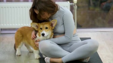 Batı Highland White Terrier 'ın lastik minderde dinlenirken çekici, formda bayan yoga yaparken geniş açılı görüntüsü. Sakin evcil hayvan sever, Padmasana 'yı Gyan Mudra' yla elde ederken sevimli köpek de rahatlıyor..