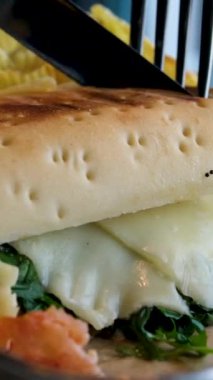 Çekilmiş domuz etli burger. Taze Meksika mutfağı, peynir festivali, lezzetli bir sandviç. Peynirli sandviç ve tavuklu domatesli ıspanaklı cips. 