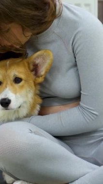 Batı Highland White Terrier 'ın lastik minderde dinlenirken çekici, formda bayan yoga yaparken geniş açılı görüntüsü. Sakin evcil hayvan sever, Padmasana 'yı Gyan Mudra' yla elde ederken sevimli köpek de rahatlıyor..