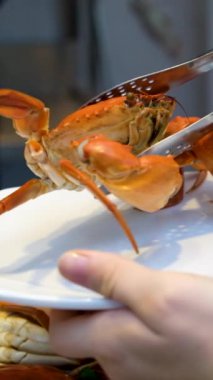 Limon dilimleri ve taze otlarla süslenmiş yengeç yemeği kasede servis edilir. Bu popüler yemek, Vietnam mutfağında zengin ve lezzetli lezzetleriyle bilinen bir ana yemektir. Yüksek kalite