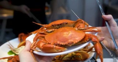 Limon dilimleri ve taze otlarla süslenmiş yengeç yemeği kasede servis edilir. Bu popüler yemek, Vietnam mutfağında zengin ve lezzetli lezzetleriyle bilinen bir ana yemektir. Yüksek kalite