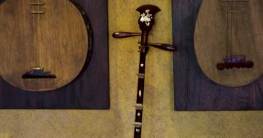 Bir müzede sergilenen dekore edilmiş bir çift lutes, yumuşak ışıklandırılmış bir pencere zeminine karşı. Enstrümanlar, tarihsel dizili enstrümanların karmaşık sanatsallığını vurguluyor. 