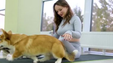Yoga ve Corgi Yavruları rahatlama, insanlar yoga, kadınlar köpekleri okşama, egzersiz yapma, esneme hareketleri.