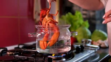 Istakoz yavaş çekimde kaynayan kaba düşüyor. Kamera. Yüksek kalite 4k görüntü