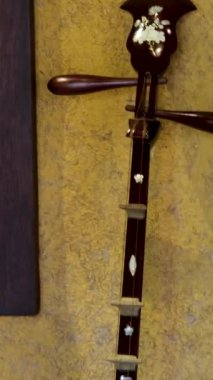 Bir müzede sergilenen dekore edilmiş bir çift lutes, yumuşak ışıklandırılmış bir pencere zeminine karşı. Enstrümanlar, tarihsel dizili enstrümanların karmaşık sanatsallığını vurguluyor. 